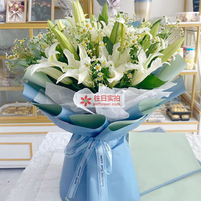 北海8支白色多头百合洋甘菊,互倾的思念