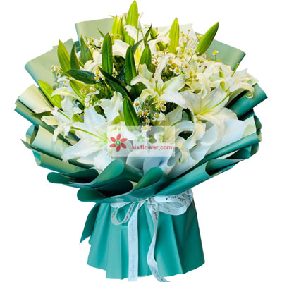 北海8支白色多头百合洋甘菊，如潮的思念
